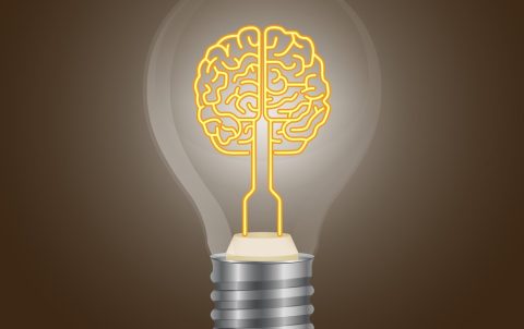 brain-lamp-vector-1752274